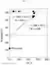 Fig. 07 - Semiconductor substrate manufacturing method