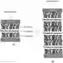 Fig. 01 - Carbon nanotube-based thermal interface materials and methods of making and using thereof