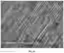 Fig. 05 - Carbon nanotube-based thermal interface materials and methods of making and using thereof