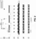 Fig. 03 - Advanced lithography and self-assembled devices