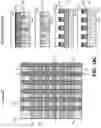 Fig. 26 - Advanced lithography and self-assembled devices