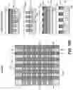 Fig. 29 - Advanced lithography and self-assembled devices