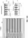 Fig. 40 - Advanced lithography and self-assembled devices