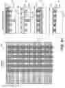 Fig. 45 - Advanced lithography and self-assembled devices