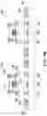 Fig. 07 - Semiconductor chip, package structure, and pacakge-on-package structure