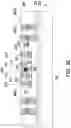 Fig. 20 - Semiconductor chip, package structure, and pacakge-on-package structure