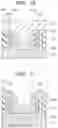 Fig. 12 - Semiconductor device and method of manufacturing the same