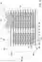 Fig. 11 - Die seal ring and manufacturing method thereof