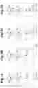 Fig. 04 - Photon detector