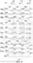 Fig. 05 - 3D vertical NAND memory device including multiple select lines and control lines having different vertical spacing