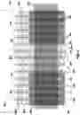 Fig. 05 - Semiconductor device structures, semiconductor devices, and electronic systems