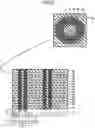 Fig. 08 - SEMICONDUCTOR MEMORY DEVICE