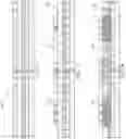 Fig. 08 - BEOL cross-bar array ferroelectric synapse units for domain wall movement