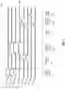 Fig. 04 - Variably biased isolation structure for global shutter pixel storage node