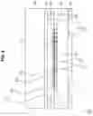 Fig. 04 - Image pickup element, image pickup device, manufacturing device and method