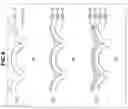 Fig. 09 - Image pickup element, image pickup device, manufacturing device and method