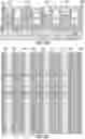 Fig. 08 - Multilayer back end of line (BEOL)-stackable cross-point memory array with complementary pass transistor selectors