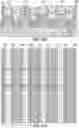 Fig. 09 - Multilayer back end of line (BEOL)-stackable cross-point memory array with complementary pass transistor selectors