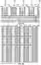 Fig. 22 - Multilayer back end of line (BEOL)-stackable cross-point memory array with complementary pass transistor selectors