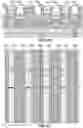 Fig. 24 - Multilayer back end of line (BEOL)-stackable cross-point memory array with complementary pass transistor selectors