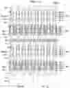 Fig. 23 - Memory device and electronic apparatus including the same