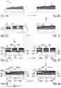 Fig. 07 - Pixel for an organic light-emitting diode microscreen