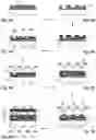 Fig. 09 - Pixel for an organic light-emitting diode microscreen