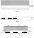 Fig. 09 - Transparent display panel, manufacturing method thereof, and transparent display apparatus