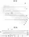 Fig. 05 - Display device having data lines spaced apart from each other by different distances