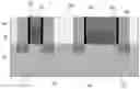 Fig. 01 - Replacement metal gate with reduced shorting and uniform chamfering