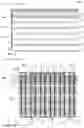 Fig. 16 - SOLAR CELL MODULE
