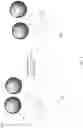 Fig. 02 - Control of surface properties by deposition of particle monolayers