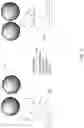 Fig. 04 - Control of surface properties by deposition of particle monolayers