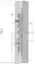 Fig. 06 - LIGHT-EMITTING APPARATUS