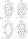Fig. 09 - LIGHT-EMITTING APPARATUS