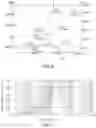 Fig. 09 - LED light bulb having filament with layered light conversion layer
