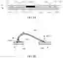 Fig. 05 - Large angle illuminated LED filament light bulb
