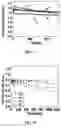 Fig. 10 - Photoactive layer and organic solar cell comprising same