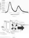 Fig. 05 - Electroluminescence device, lighting panel, and vehicle lamp group
