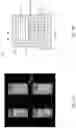 Fig. 02 - Pixel array package structure and display panel