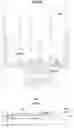 Fig. 11 - Organic light emitting display and method of fabricating the same