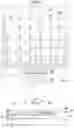 Fig. 12 - Organic light emitting display and method of fabricating the same