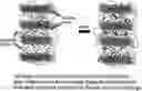 Fig. 01 - Microporous membranes, separators, lithium batteries, and related methods