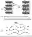 Fig. 02 - Microporous membranes, separators, lithium batteries, and related methods