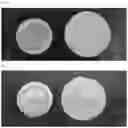 Fig. 02 - Method for manufacturing secondary battery using lithium metal as negative electrode