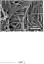 Fig. 06 - Positive electrode and method for making the same, and battery using the same