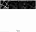 Fig. 08 - Positive electrode and method for making the same, and battery using the same
