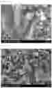 Fig. 06 - Negative electrode with carbon-based thin film, manufacturing method therefor, and lithium secondary battery comprising same