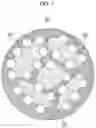 Fig. 02 - Negative active material for rechargeable lithium battery and rechargeable lithium battery including same