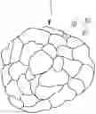 Fig. 01 - Positive active material, method of manufacturing the same, and positive electrode and rechargeable lithium battery including the same
